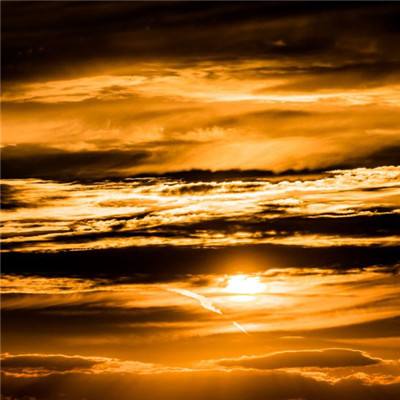 半岛综合下周截图