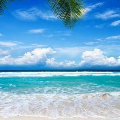 leyu乐鱼手机app下载